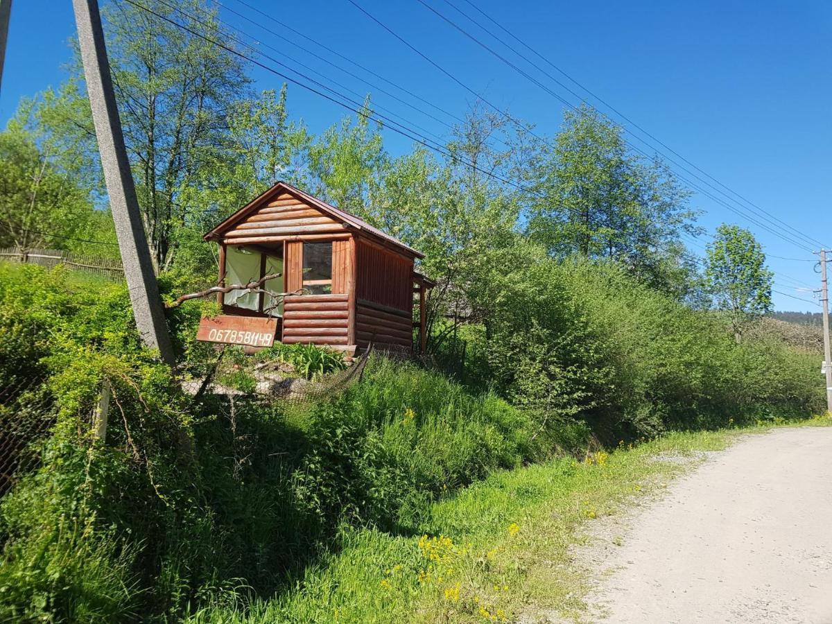 Ferienwohnung Карпатський Будинок Izky Exterior foto